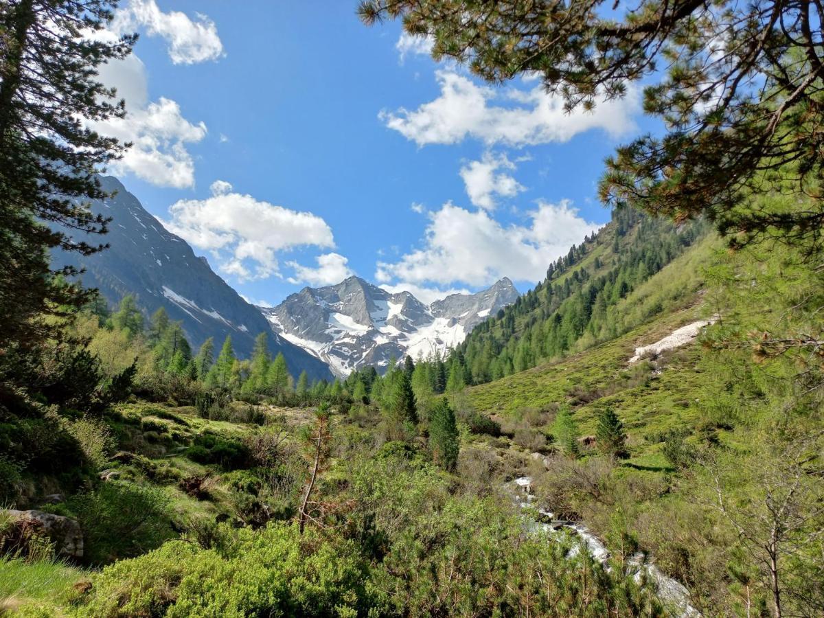 Appartement Summerer Peter Mayrhofen Dış mekan fotoğraf